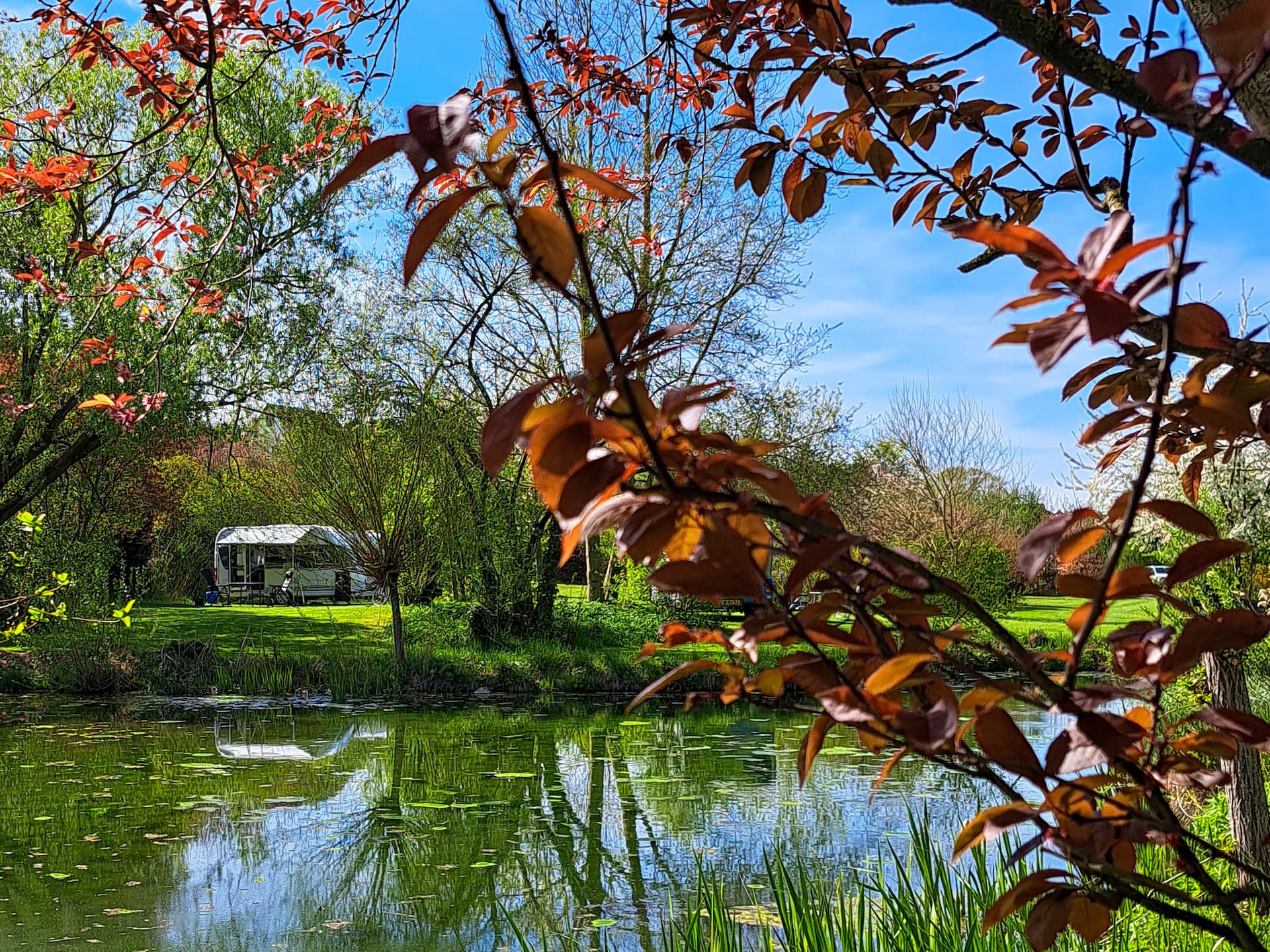 Idyllischer Campingplatz mit Teich und Wohnwagenstellplatz am Schloß Roßdorf in ruhiger naturnaher Umgebung