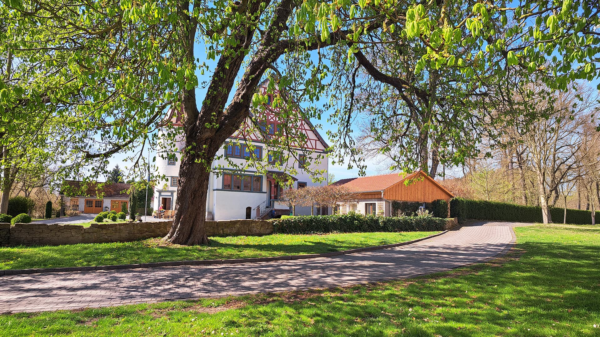 Außenansicht von Schloß Roßdorf mit geschwungener Zufahrt, historischem Gebäude und großem alten Baum im Vordergrund