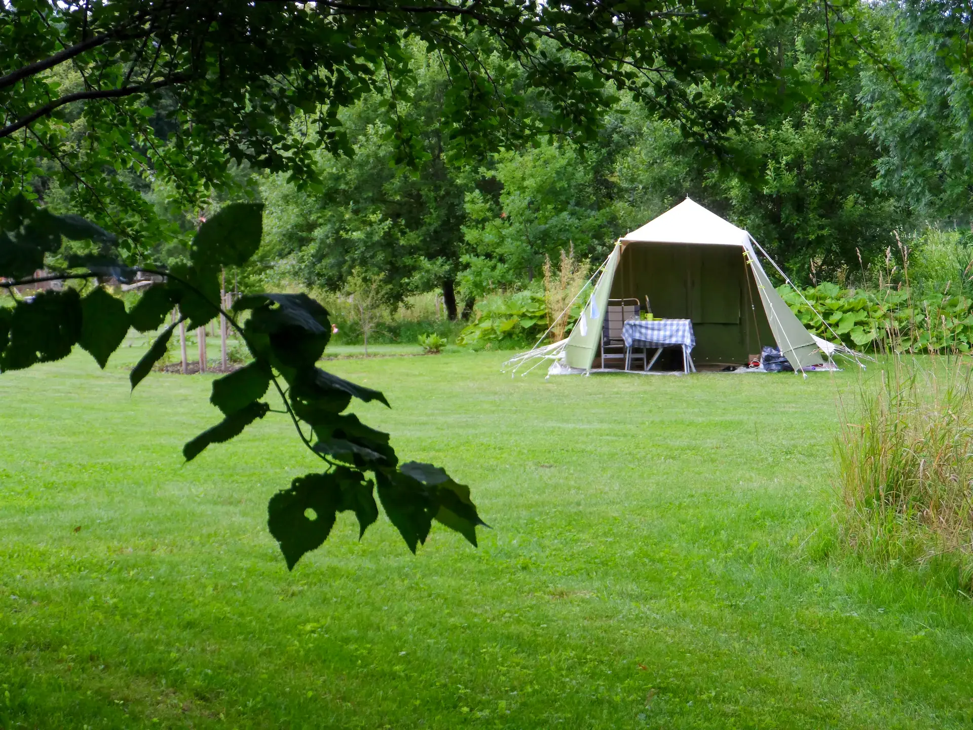 Zelt auf einer grünen Wiese auf dem Campingplatz am Schloß Roßdorf, umgeben von Bäumen und ruhiger Natur